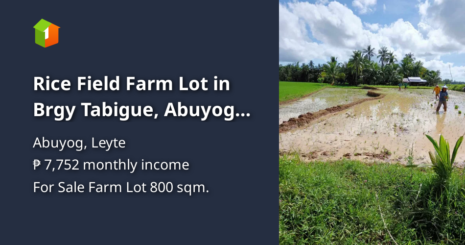 Rice Field Farm Lot in Brgy Tabigue, Abuyog Leyte [Lot 🚜] (August 2024