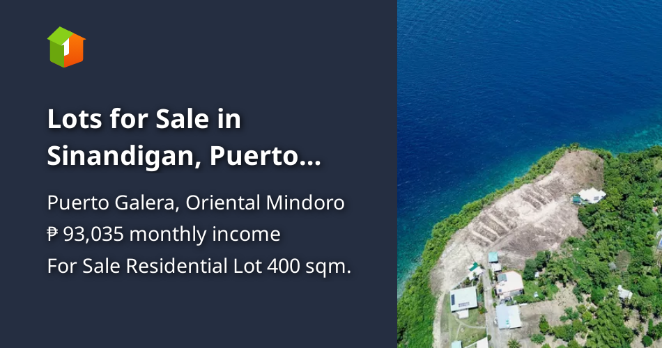Lots for Sale in Sinandigan, Puerto Galera [Lot 🚜] (June 2024) in
