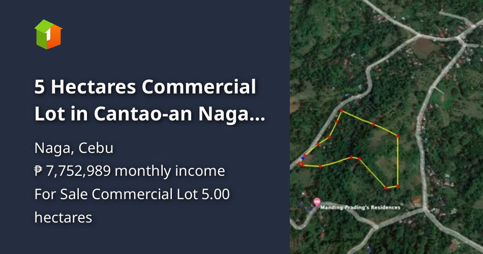 5 Hectares Commercial Lot in Cantaoan Naga City [Lot 🚜] (July 2024) in Naga, Cebu for sale