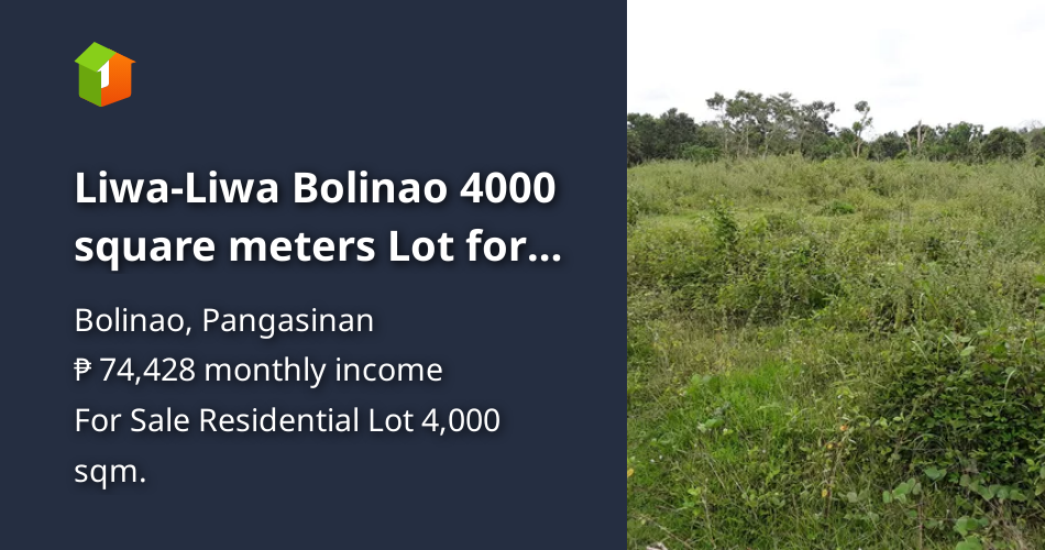 LiwaLiwa Bolinao 4000 square meters Lot for sale in the best locati