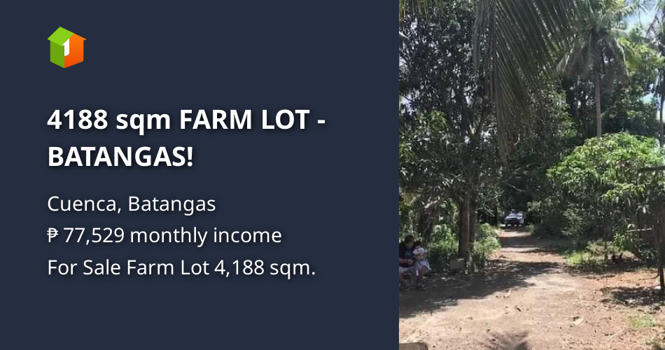 4188 sqm FARM LOT BATANGAS! [Lot 🚜] (August 2020) in Cuenca, Batangas for sale