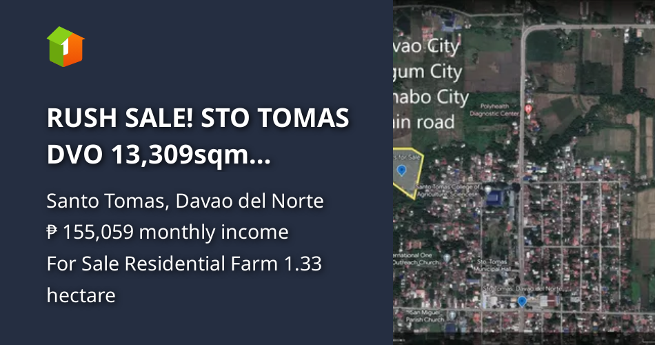 RUSH SALE! STO TOMAS DVO 13,309sqm RESIDENTIAL LOTS SUBDIVISION READY ...