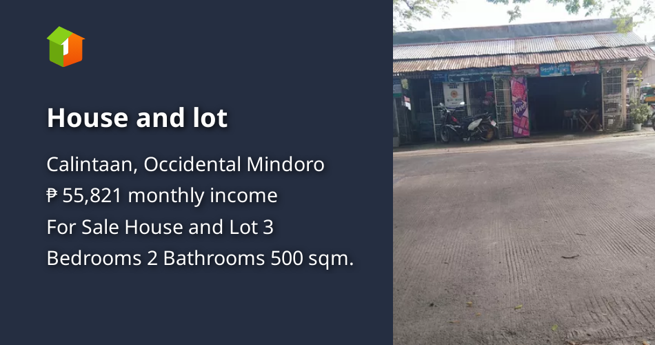 House and lot [House and Lot 🏘️] (September 2023) in Calintaan, Occidental Mindoro for sale
