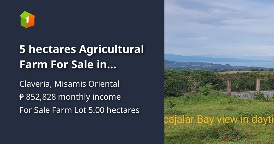 5 hectares Agricultural Farm For Sale in Claveria Misamis Oriental ...