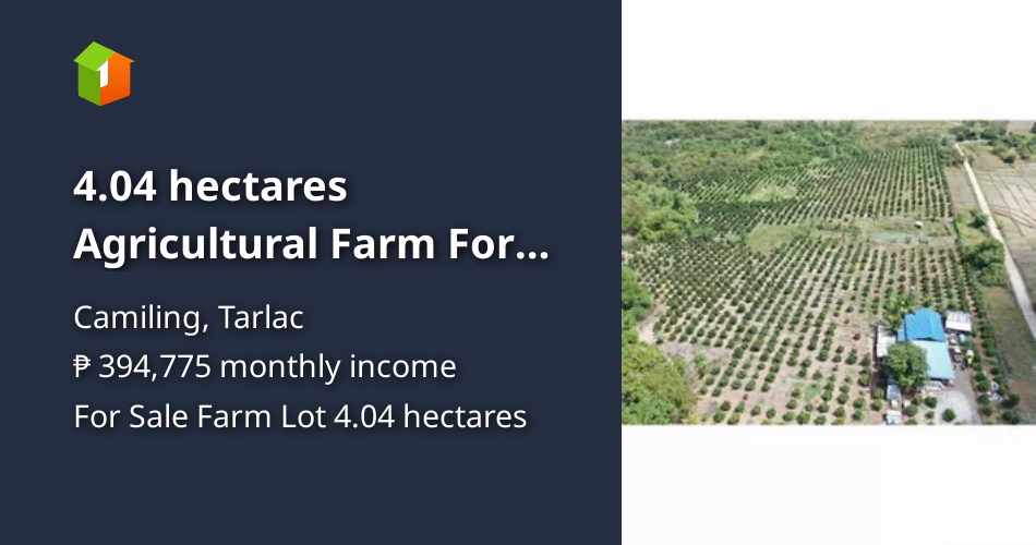 4.04 hectares Agricultural Farm For Sale in Camiling Tarlac [Lot 🚜