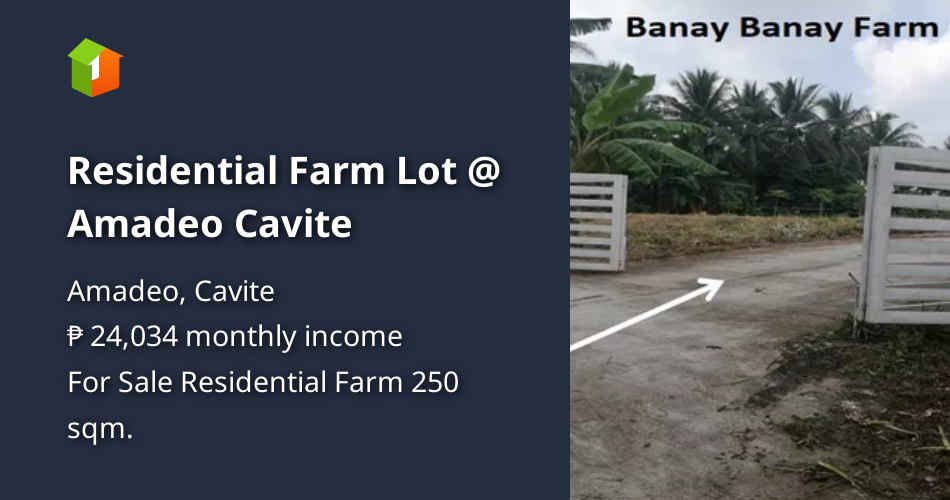 Residential Farm Lot Amadeo Cavite [Lot 🚜] (February 2022) in Amadeo