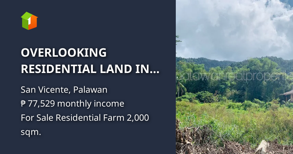 OVERLOOKING RESIDENTIAL LAND IN PORT BARTON,PALAWAN [Lots 🚜] (July 2023