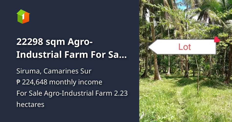 22298 sqm AgroIndustrial Farm For Sale in Siruma Camarines Sur [Lot 🚜