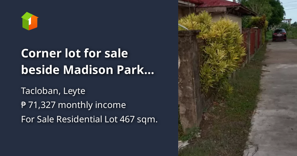 Corner lot for sale beside Madison Park Hotel! [Lot 🚜] (August 2024) in Tacloban, Leyte for sale