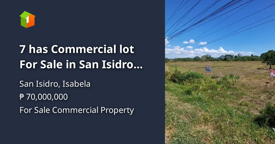 7 has Commercial lot For Sale in San Isidro Isabela