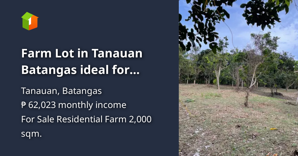 Installment Farm Lot in Tanauan Batangas Near Tanauan exit [Lot 🚜