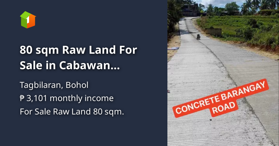 80-sqm-raw-land-for-sale-in-cabawan-tagbilaran-bohol-lot-august