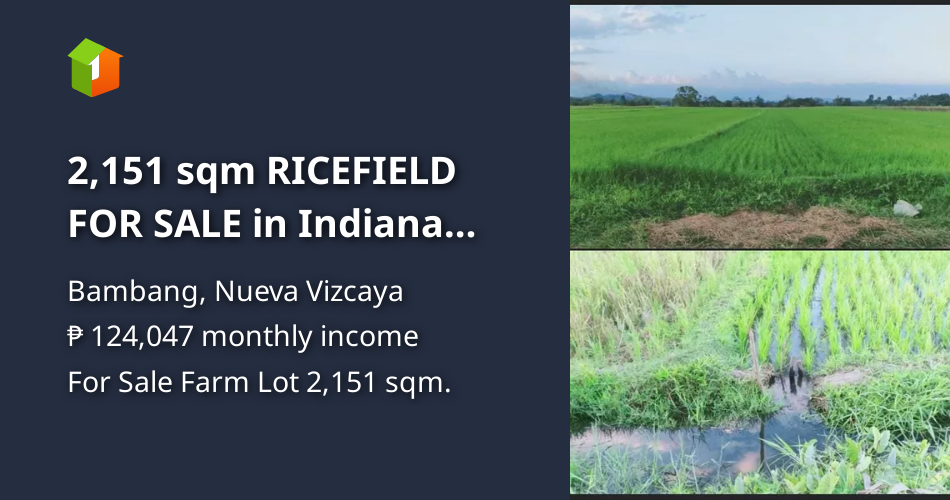2,151 sqm RICEFIELD FOR SALE in Indiana Bambang Nueva Vizcaya [Lot 🚜] (December 2023) in Bambang