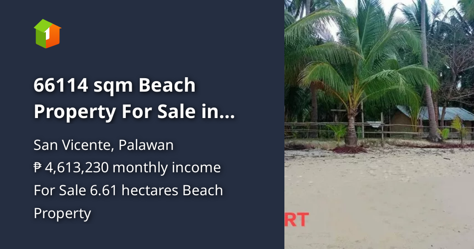 66114 sqm Beach Property For Sale in Palawan Philippines [Beach