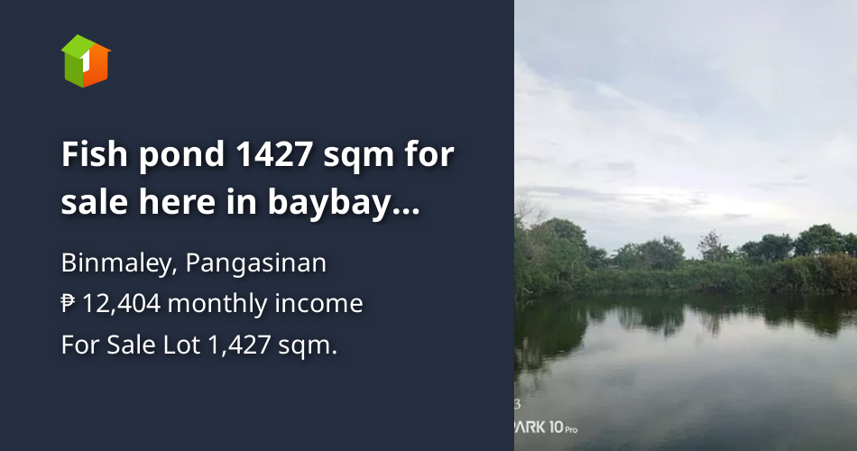 Fish pond 1427 sqm for sale here in baybay polong pangasinan [Lot 🚜