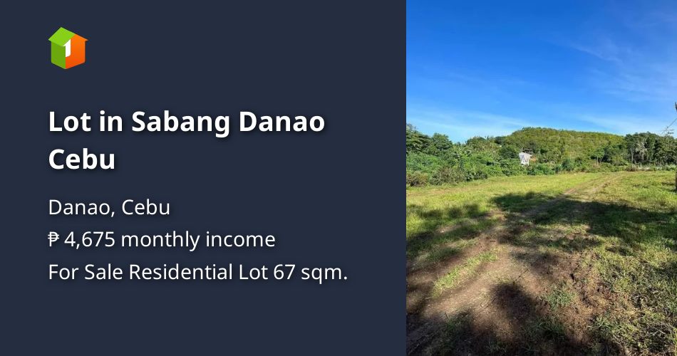 Lot in Sabang Danao Cebu [Lot 🚜] (May 2023) in Danao, Cebu for sale