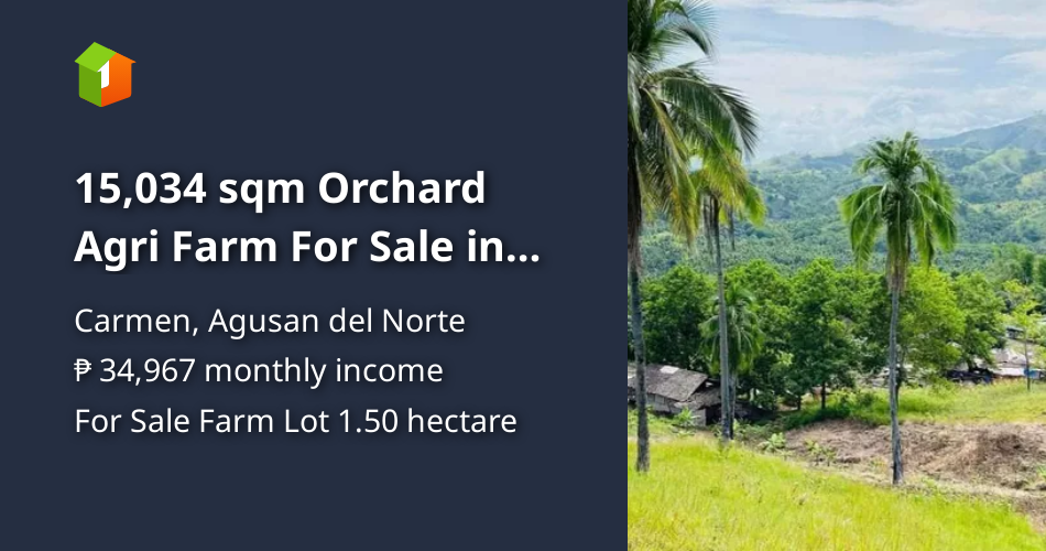 15,034 sqm Orchard Agri Farm For Sale in Carmen Agusan del Norte [Lot 🚜
