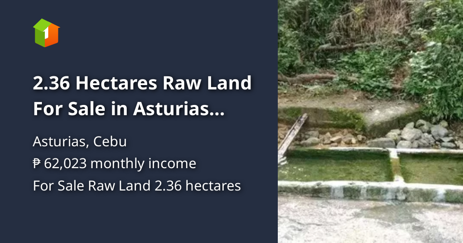 2.36 Hectares Raw Land For Sale in Asturias Cebu [Lot 🚜] (July 2024) in