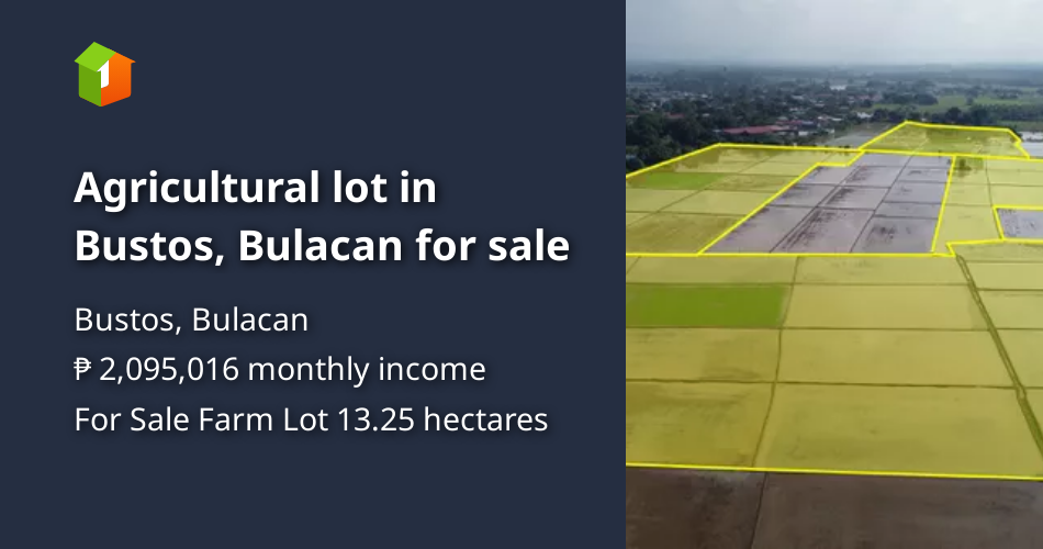 Agricultural lot in Bustos, Bulacan for sale [Lot 🚜] (October 2022) in