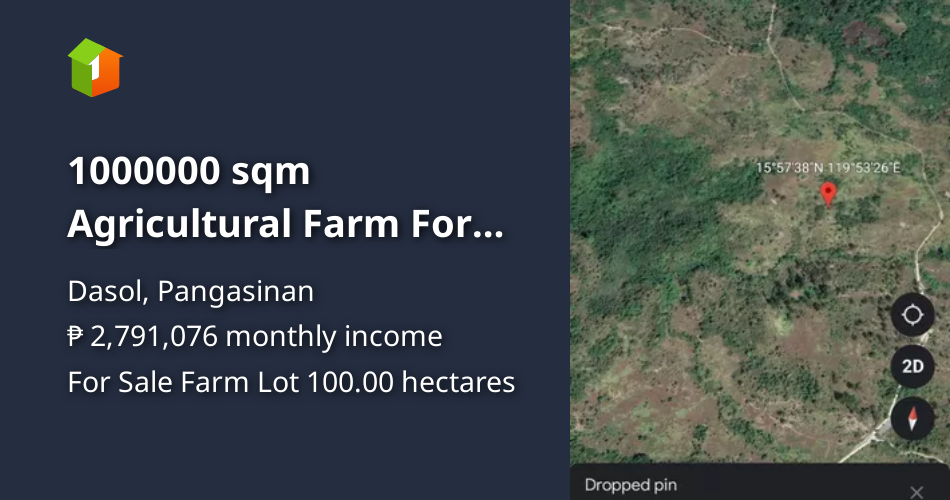 1000000 sqm Agricultural Farm For Sale in Dasol Pangasinan [Lot 🚜