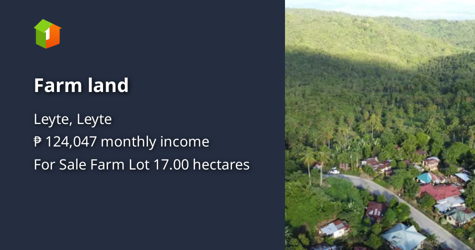 Farm land [Lots 🚜] (August 2024) in Leyte, Leyte for sale