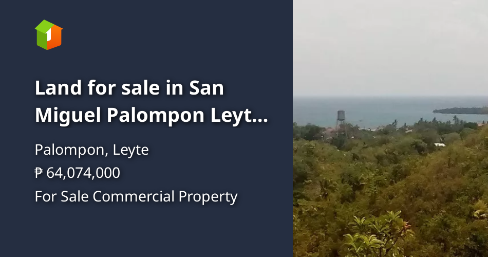 Land for sale in San Miguel Palompon Leyte at the back of PIT School