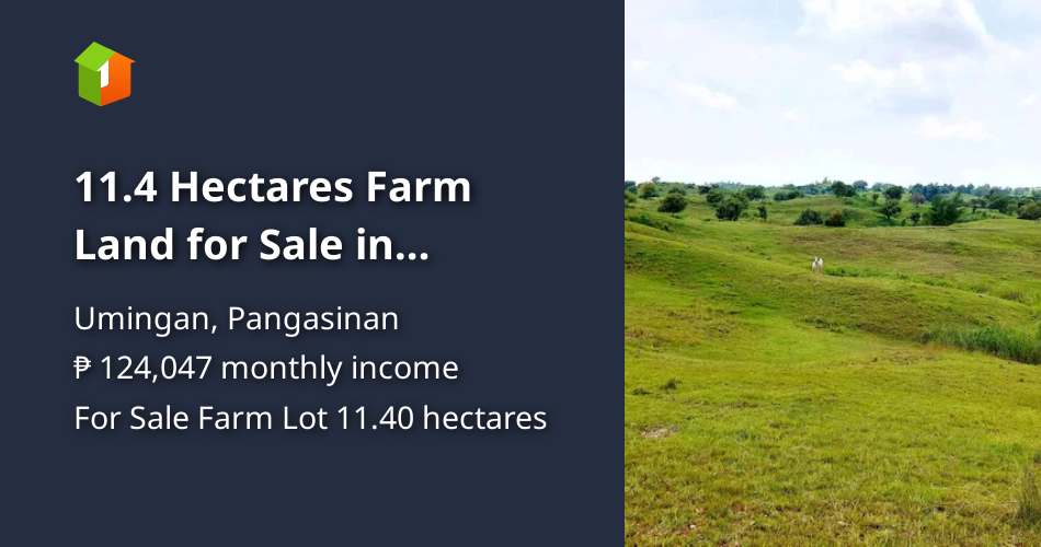 11.4 Hectares Farm Land for Sale in Umingan Pangasinan [Lot 🚜] (August