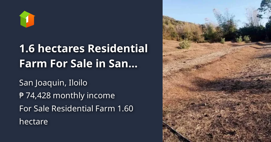 1.6 hectares Residential Farm For Sale in San Joaquin Iloilo [Lot 🚜] (July 2024) in San Joaquin