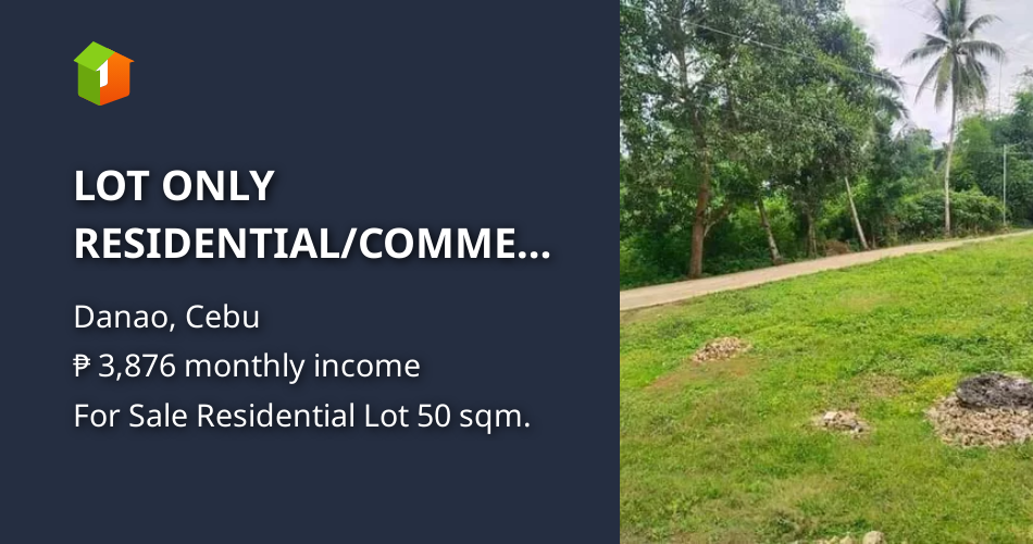 LOT ONLY LOTS AVAILABLE IN DANAO CITY CEBU [Lot