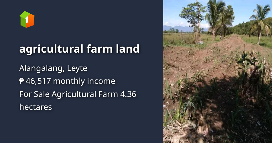 Agricultural farm land [Lot 🚜] (September 2024) in Alangalang, Leyte ...