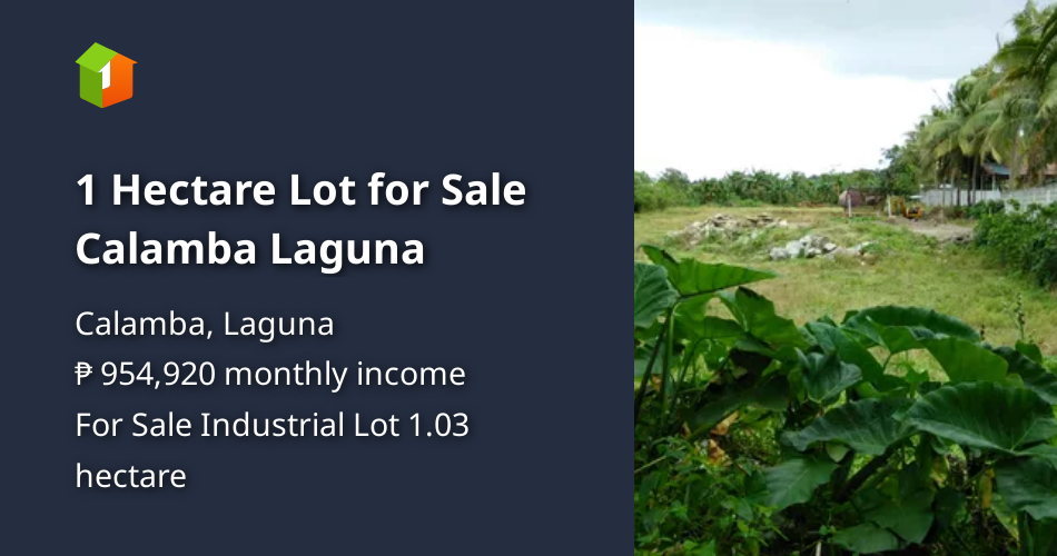 1 Hectare Lot for Sale Calamba Laguna [Lot 🚜] (April 2023) in Calamba