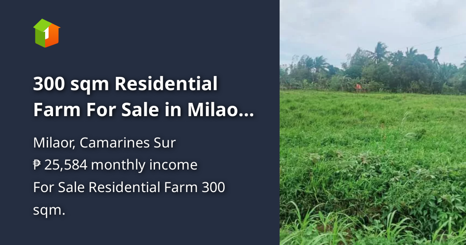 300 sqm Residential Farm For Sale in Milaor Camarines Sur [Lots 🚜