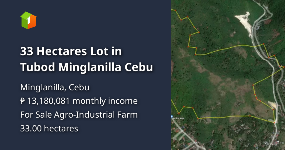 33 Hectares Lot in Tubod Minglanilla Cebu [Lot 🚜] (July 2024) in