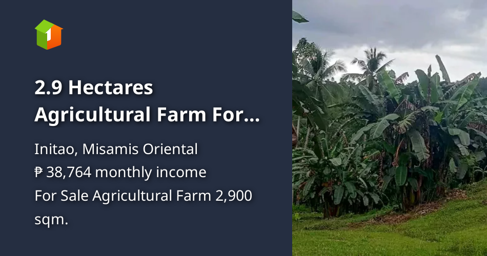 2.9 Hectares Agricultural Farm For Sale in Initao Misamis Oriental [Lot