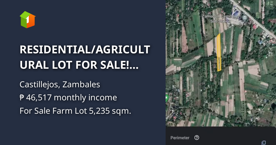 RESIDENTIAL/AGRICULTURAL LOT FOR SALE! Located at Nagbunga Castillej