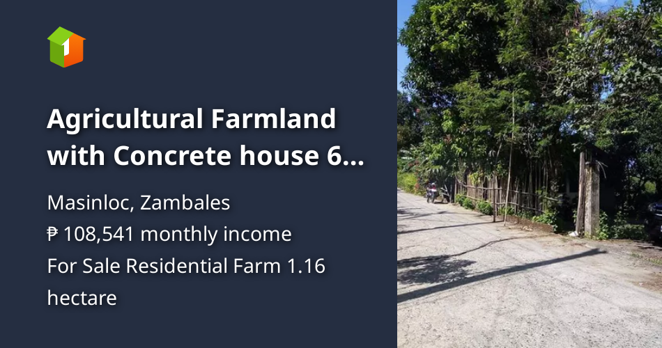 Agricultural Farmland with Concrete house 65 fruitbearing trees. [Lot