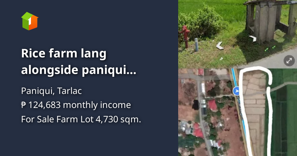 Rice farm lang alongside paniqui Camiling highway [Lot 🚜] (May 2023) in