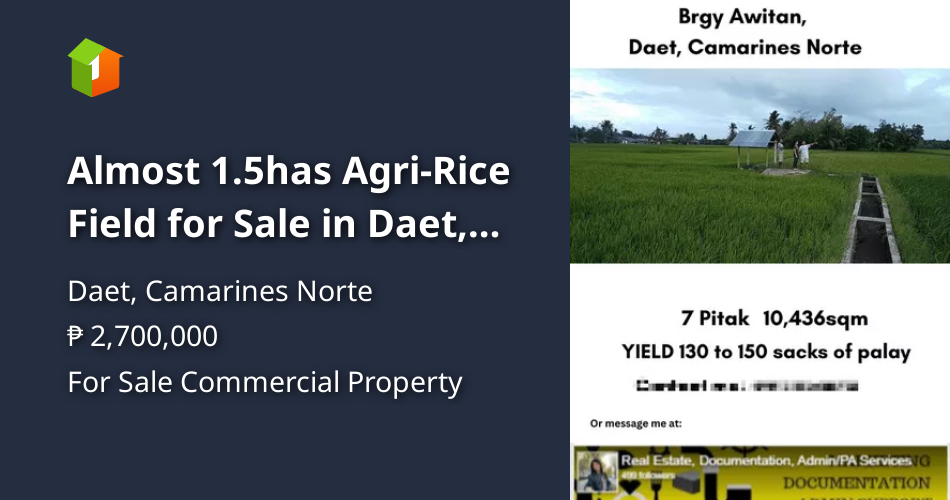 Almost 1.5has AgriRice Field for Sale in Daet, Camarines Norte
