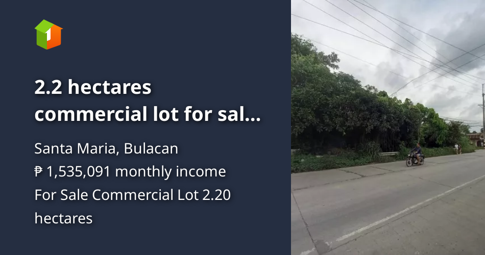 2.2 hectares commercial lot for sale Sta.Maria Bulacan along highway