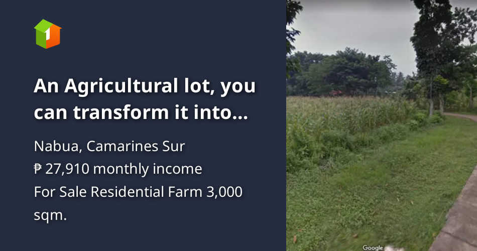 An Agricultural lot, you can transform it into anything you want [Lot 🚜 ...