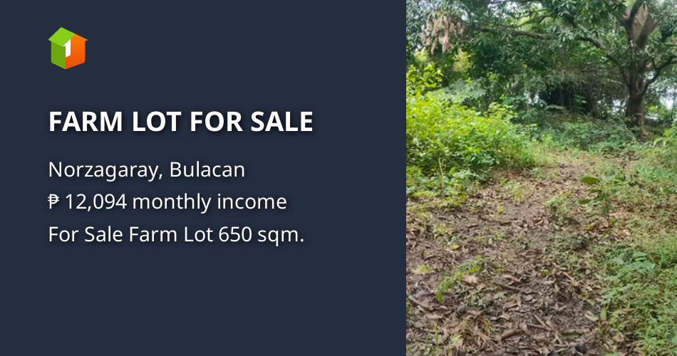 FARM LOT FOR SALE [Lot 🚜] (November 2023) in Norzagaray, Bulacan for sale