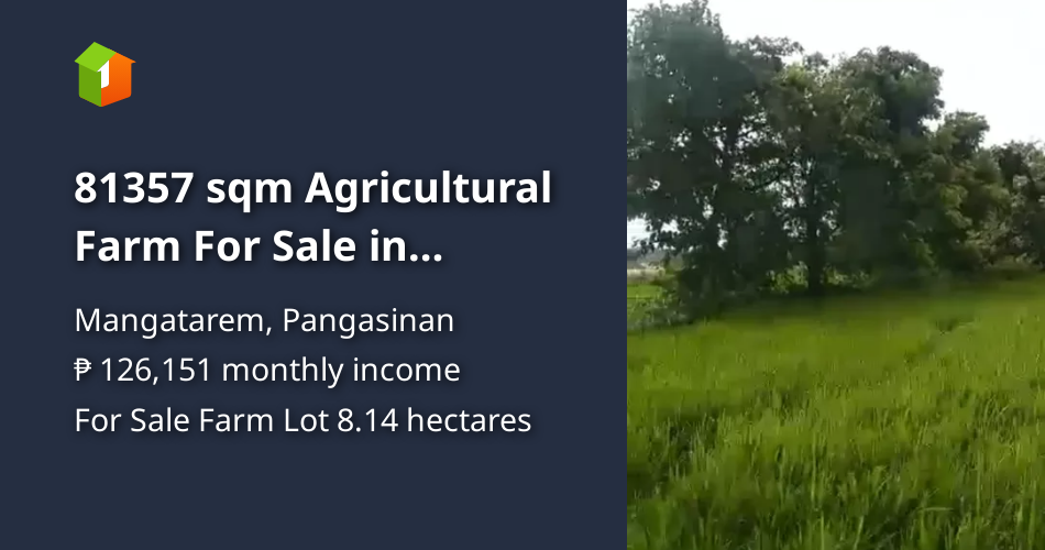 81357 sqm Agricultural Farm For Sale in Mangatarem Pangasinan [Lots 🚜] (October 2024) in