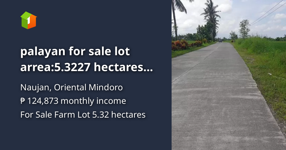 Palayan for sale lot arrea5.3227 hectares price800k per location nu [Lot 🚜] (October 2021) in