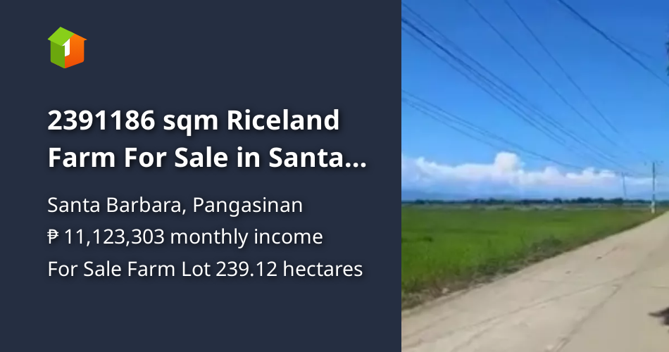 2391186 sqm Riceland Farm For Sale in Santa Barbara Pangasinan [Lot 🚜