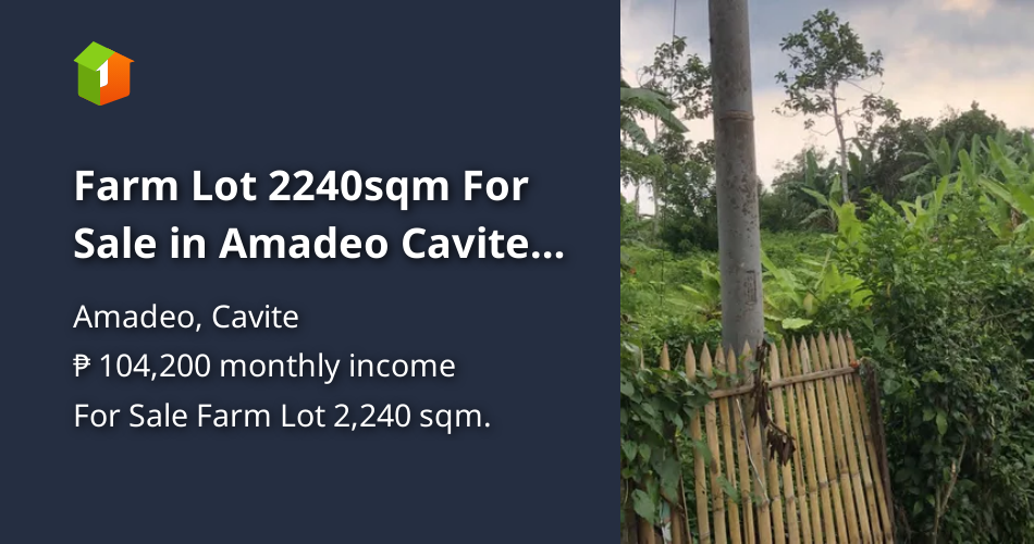 Farm Lot 2240sqm For Sale in Amadeo Cavite. Just P3k/sqm (neg) [Lot 🚜