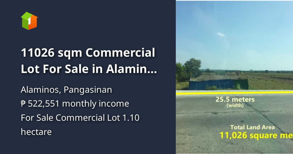 11026 sqm Commercial Lot For Sale in Alaminos Pangasinan [Lot 🚜