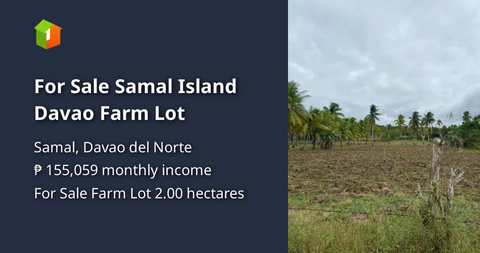 For Sale Samal Island Davao Farm Lot [Lot 🚜] (December 2021) in Samal