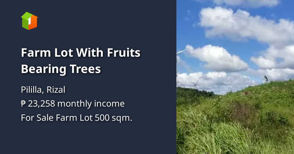 Farm Lot With Fruits Bearing Trees [Lot 🚜] (December 2022) in Pililla
