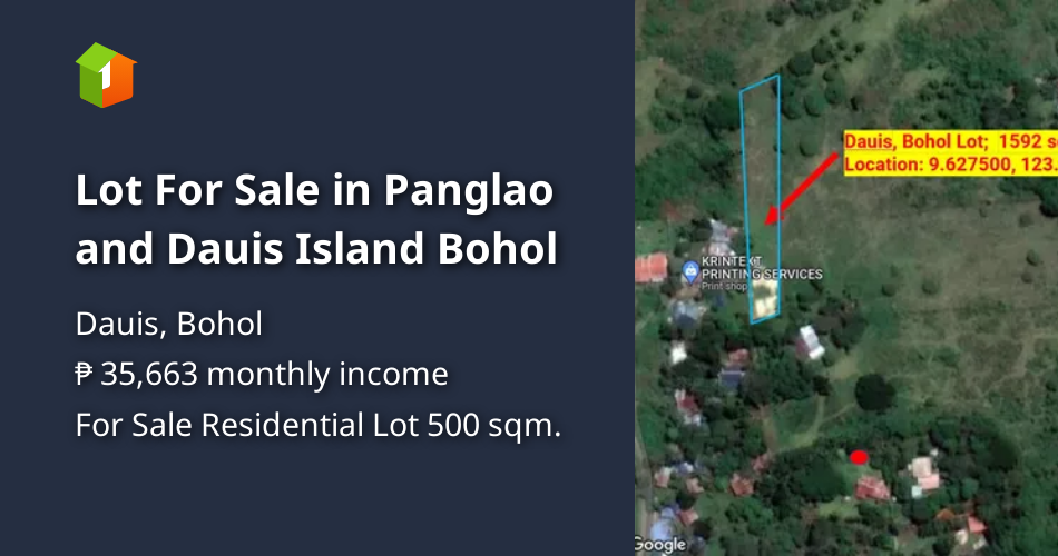 Lot For Sale in Panglao and Dauis Island Bohol [Lot 🚜] (March 2023) in Dauis, Bohol for sale