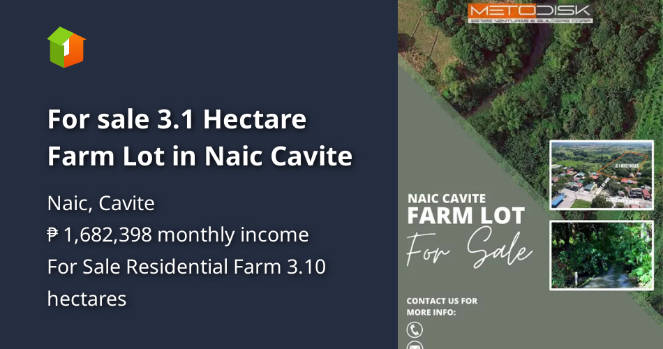 For sale 3.1 Hectare Farm Lot in Naic Cavite [Lot 🚜] (January 2024) in